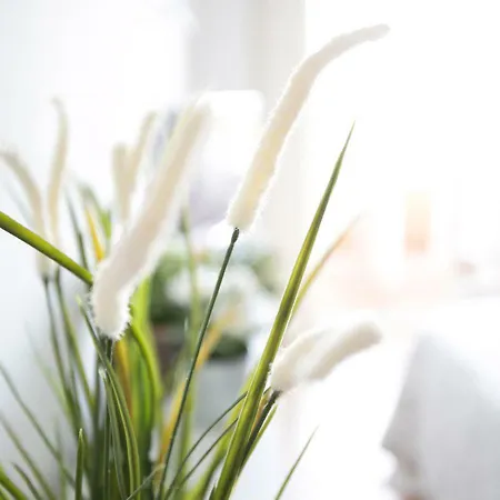 Sea Star Апартаменты